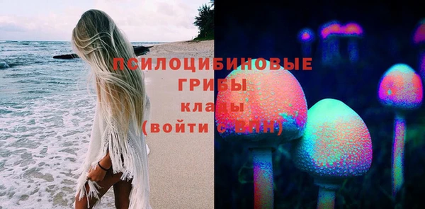 твердый Армянск