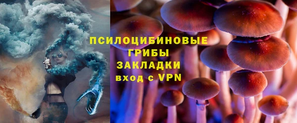 дживик Арсеньев