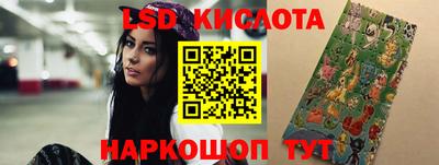 шишки Кандалакша