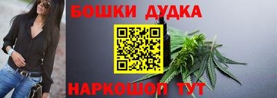 гидра Кингисепп