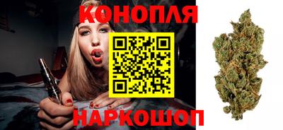 шишки Кандалакша