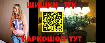 гидра Кингисепп