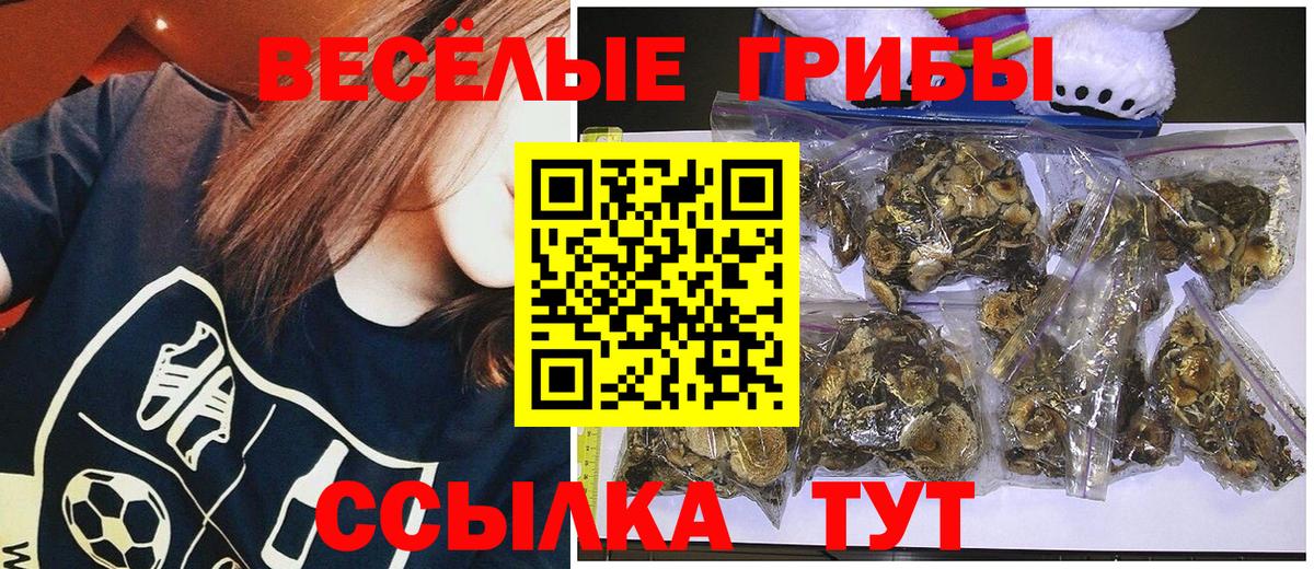 Галлюциногенные грибы Psilocybe  Псилоцибиновые грибы мухоморы  Нефтекамск  Вход с VPN 