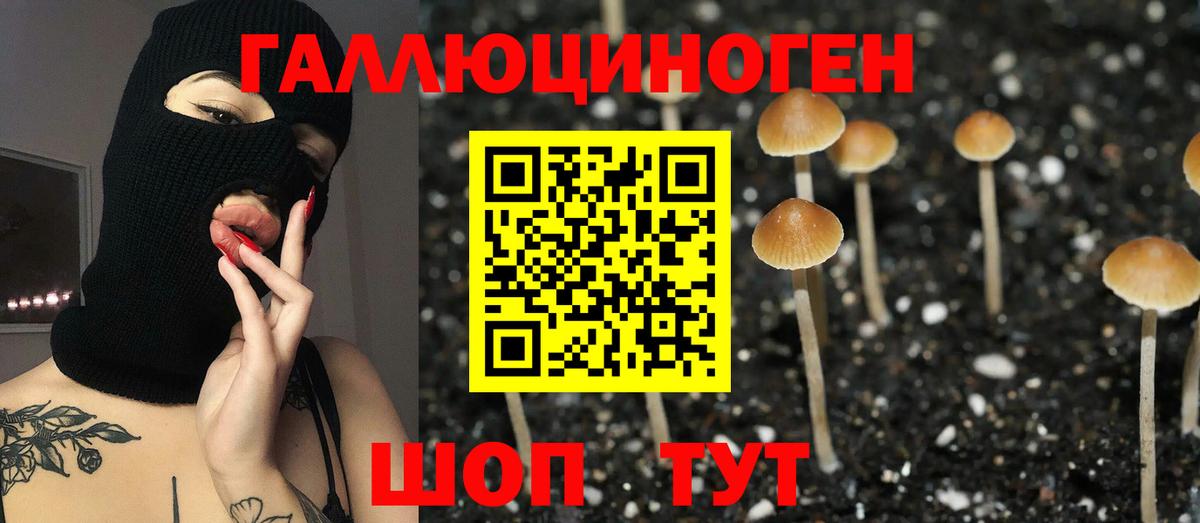 Галлюциногенные грибы MAGIC MUSHROOMS Нефтекамск